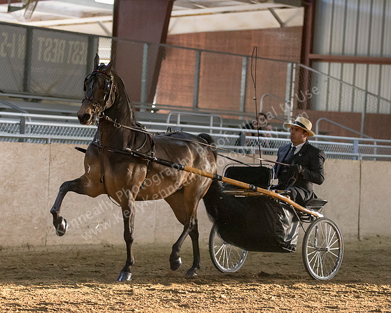 CalSpring18_Thurs_7421