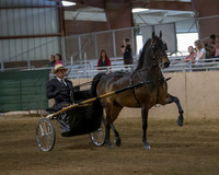 CalSpring18_Thurs_7443