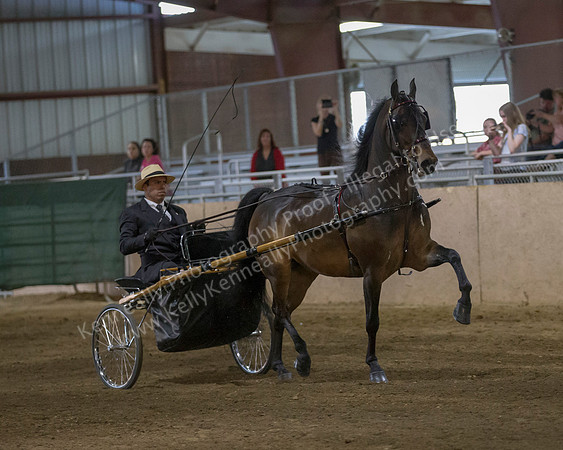 CalSpring18_Thurs_7443