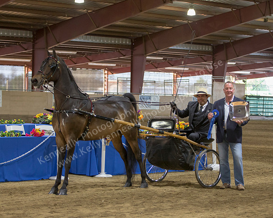 CalSpring18_Thurs_7452