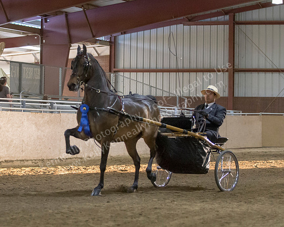 CalSpring18_Thurs_7460