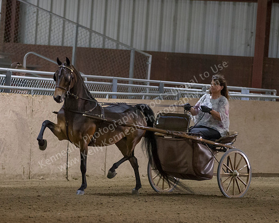 CalSpring18_Thurs_7474