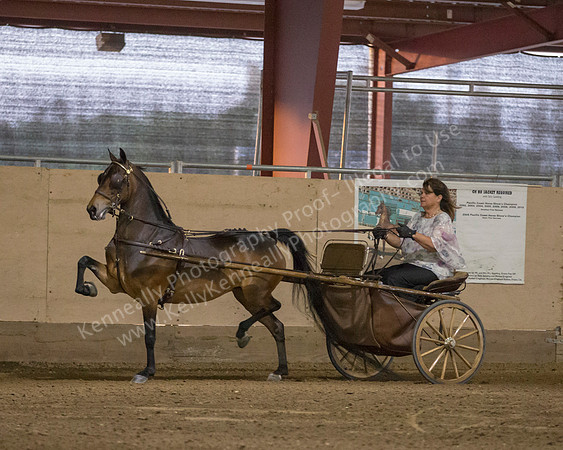 CalSpring18_Thurs_7484