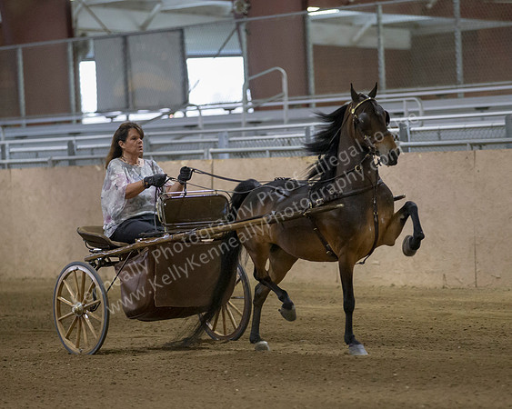 CalSpring18_Thurs_7507