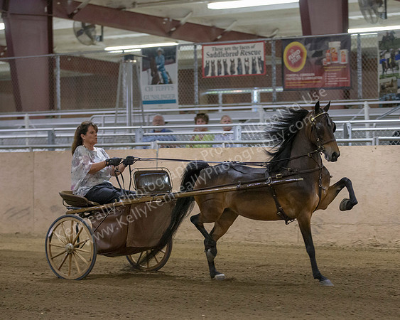 CalSpring18_Thurs_7510