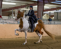 CalSpring18_Thurs_7555