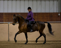 Class 18 Morgan Hunter Pleasure Open