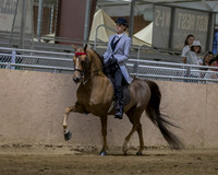 CalSpring18_Thurs_7693