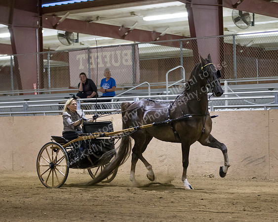 CalSpring18_Thurs_7667