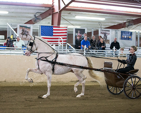 CalSpring18_FriAM_7879