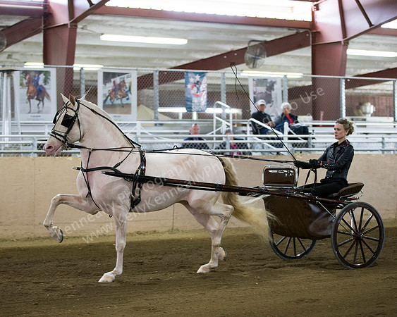 CalSpring18_FriAM_7889