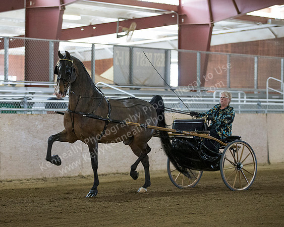 CalSpring18_FriAM_7892
