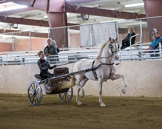 CalSpring18_FriAM_7896