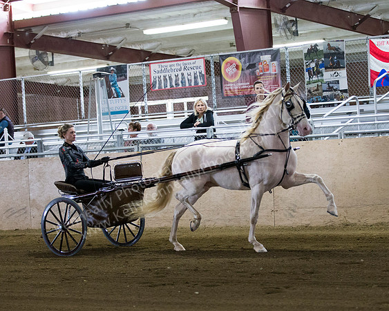 CalSpring18_FriAM_7898