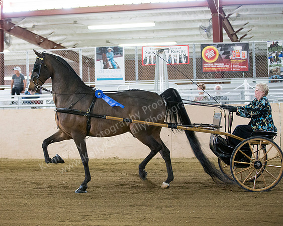 CalSpring18_FriAM_7919