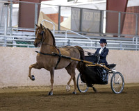 CalSpring18_FriAM_7927