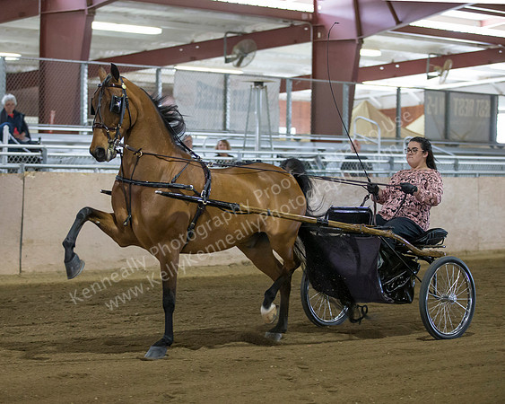 CalSpring18_FriAM_7944