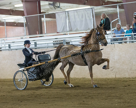 CalSpring18_FriAM_7948