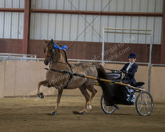 CalSpring18_FriAM_7959