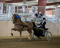 CalSpring18_FriAM_7963