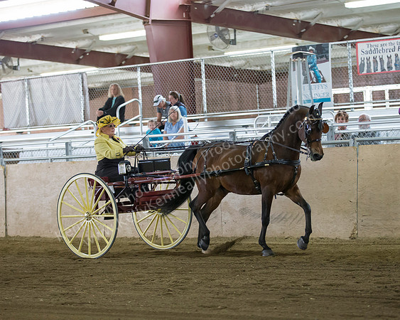 CalSpring18_FriAM_8014