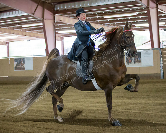 CalSpring18_FriAM_8209