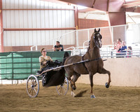 CalSpring18_FriAM_8332