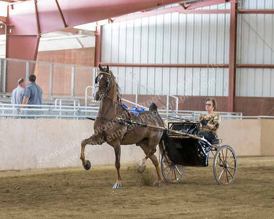 CalSpring18_FriAM_8356