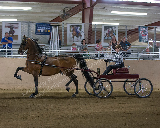 CalSpring18_FriPM_8449