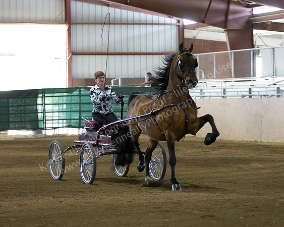 CalSpring18_FriPM_8464