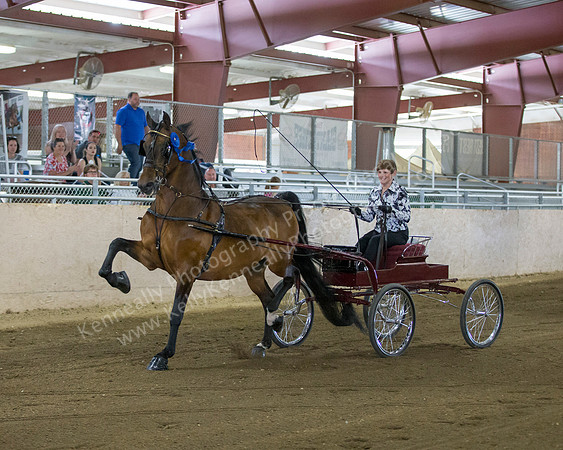 CalSpring18_FriPM_8475