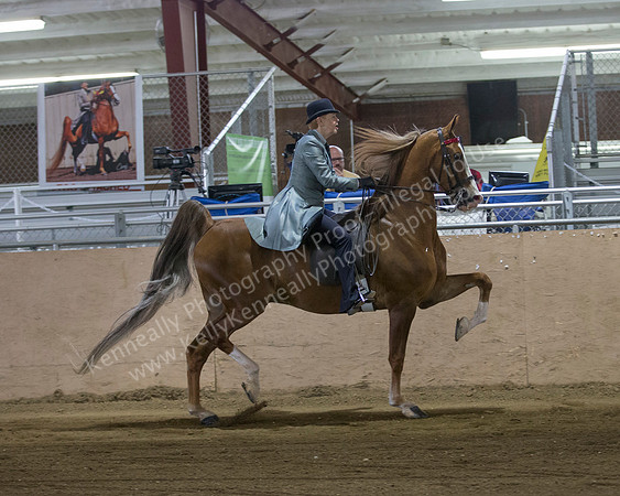 CalSpring18_FriPM_8503
