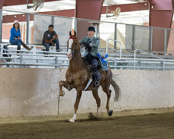 CalSpring18_FriPM_8520
