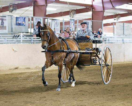 CalSpring18_FriPM_8617