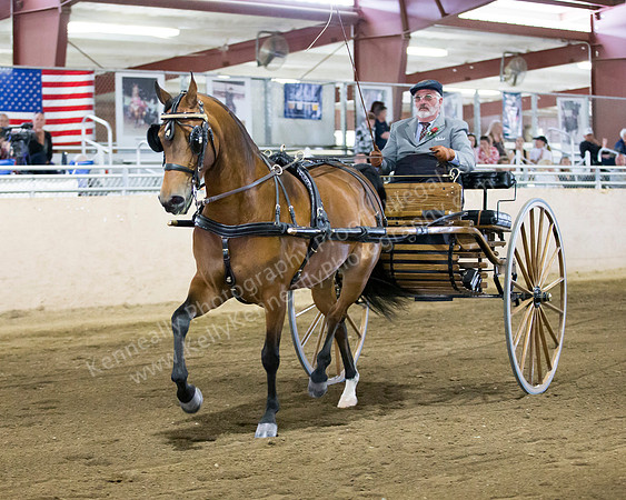 CalSpring18_FriPM_8618