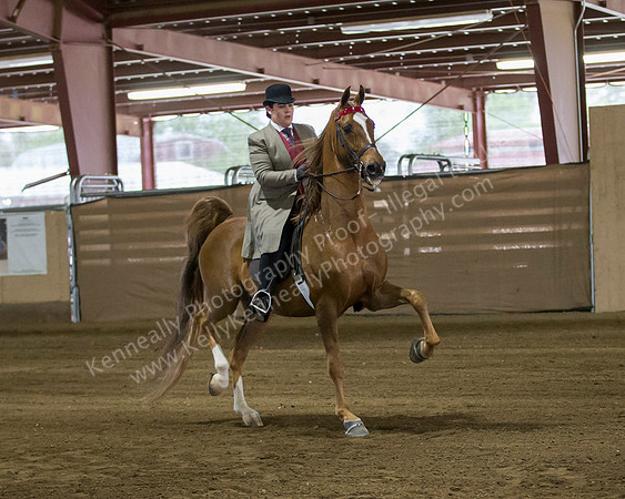 CalSpring18_FriPM_8698