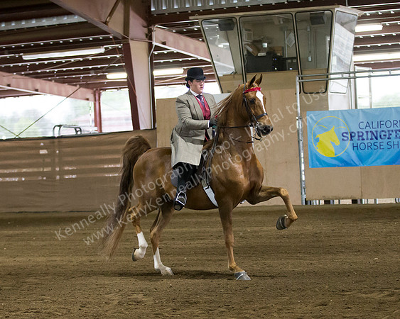 CalSpring18_FriPM_8700