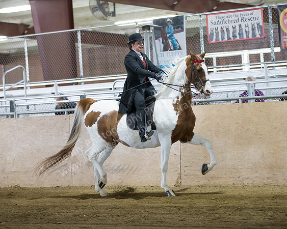 CalSpring18_FriPM_8744