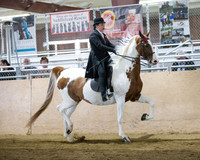 CalSpring18_FriPM_8745