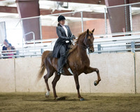 CalSpring18_FriPM_8746