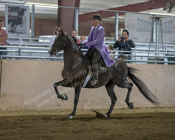 CalSpring18_FriPM_8795