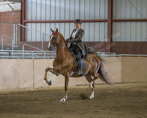CalSpring18_FriPM_8799