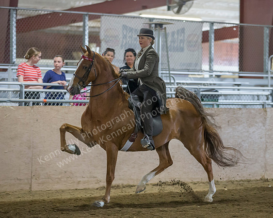 CalSpring18_FriPM_8848