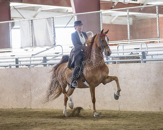 CalSpring18_FriPM_8868
