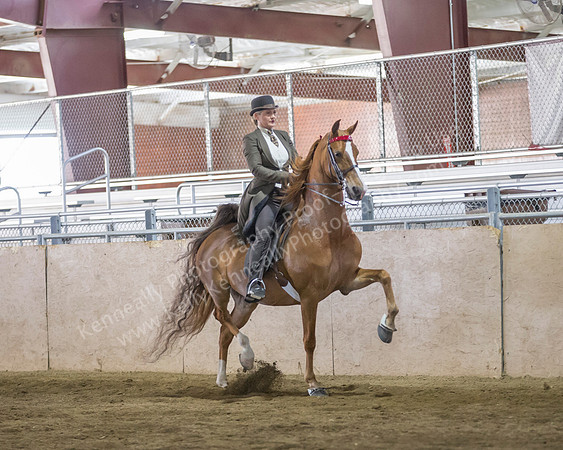 CalSpring18_FriPM_8869