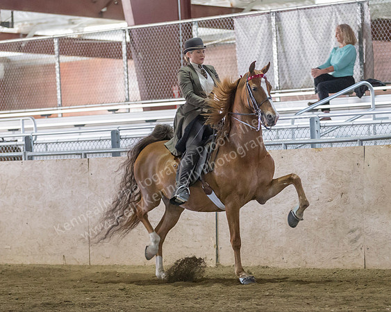 CalSpring18_FriPM_8870