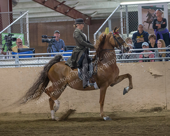 CalSpring18_FriPM_8874