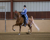 Class 48 ASB Junior Exhibitor Five Gaited