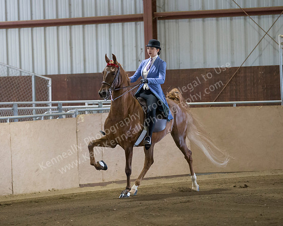 CalSpring18_SatAM_0075