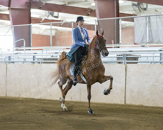 CalSpring18_SatAM_0086